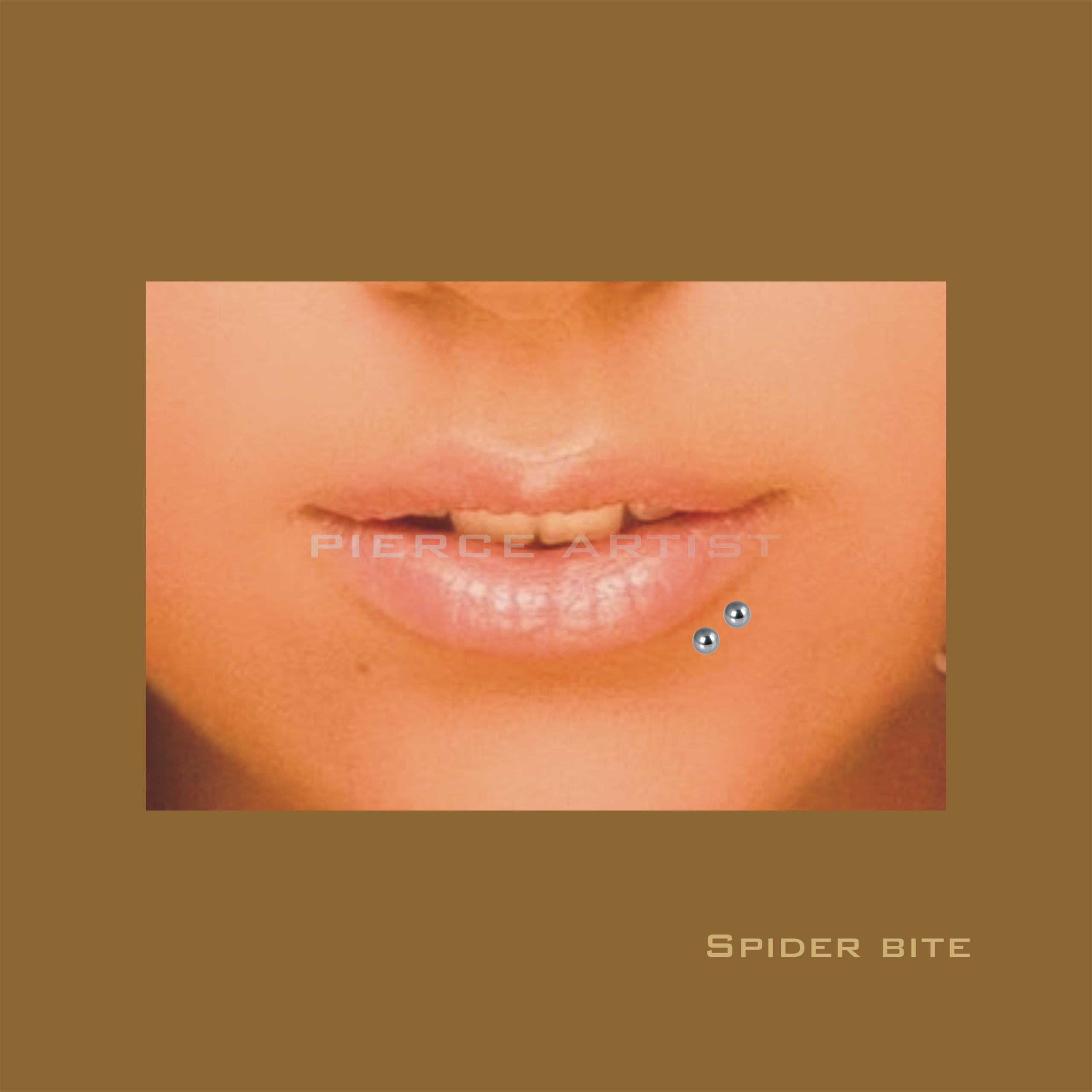 Spider bite piercingen er to læbepiercinger, der placerer ved siden af ​​hinanden, normalt laves de lige under læben. Spider bite sidder med mindre afstand mellem piercingerne end ved en Viber bite piercing.